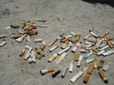 Menyambut Hari Peduli Sampah Nasional 2024: M...